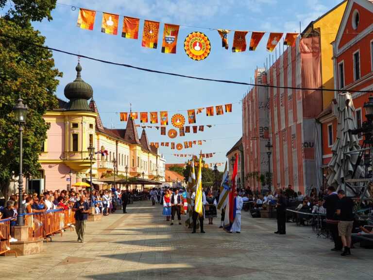 Ostaju li Vinkovačke jeseni bez svoga dosadašnjeg grba?!