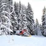 snowcat-4048316_1920