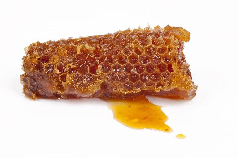 Propolis ubija sve što muči zdrav organizam: Narodni recept za čak 11 bolesti!