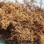 tobacco-914073_640