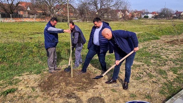 Gradonačelnik Bosančić zasadio tri mlada stabla u okviru akcije „Zasadi stablo, ne budi panj“