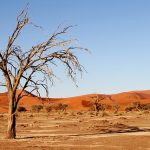 desert-1305049_640