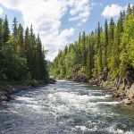 river-1209025_640