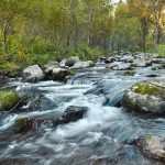 river-89180_640