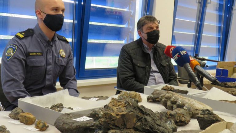 Kod Gradiške uhvatili muškarca s vrijednim fosilima praslona