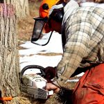 chainsaw-6076170_640