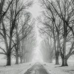 snow-g694039cac_640
