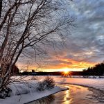 winter-landscape-2995987_640