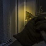 burglar-1678883_640