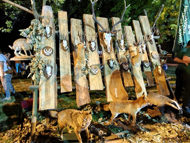 VSŽ: Objavljen prvi Javni poziv za dodjelu potpora za razvoj i unapređenje lovstva