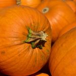 pumpkins-gdf2293086_640