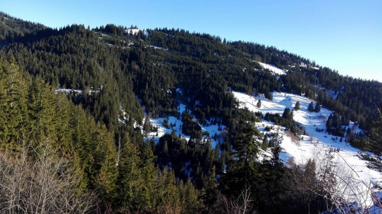 VREMENSKA PROGNOZA:  Sredina zime, a temperature će se penjati do čak 16 stupnjeva, No, stižu kiša, grmljavina i snijeg