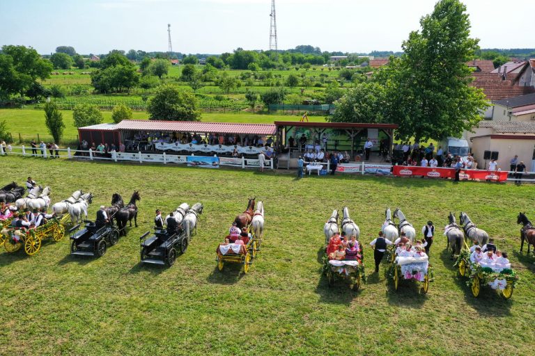 Babina Greda – čuvar baštine, običaja i tradicije konjogojstva