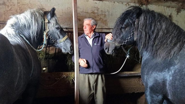 Mato Ćurić konjima se bavi 67 godina, za mene lijep konj nikada nije skup