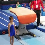 Andrija_Petrina