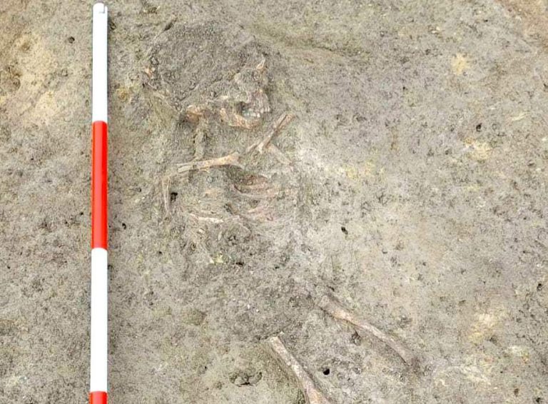 Arheološka senzacija u Vinkovcima: Pronađeni su ostaci prapovijesnog djeteta