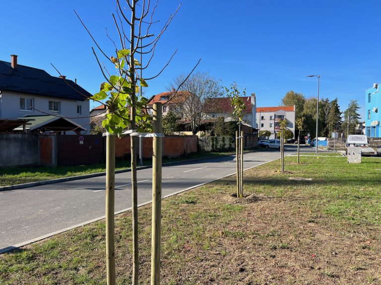 Kreće izgradnja biciklističkih staza i sadnja čak 700 mladih stabala