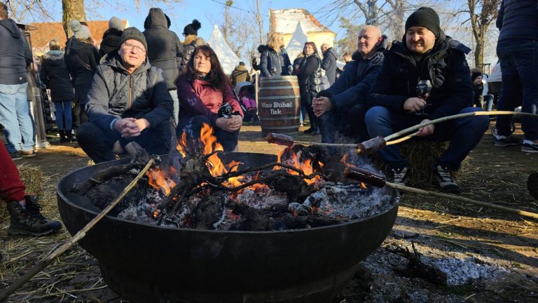 Frankopani za Vinkovo u Iloku
