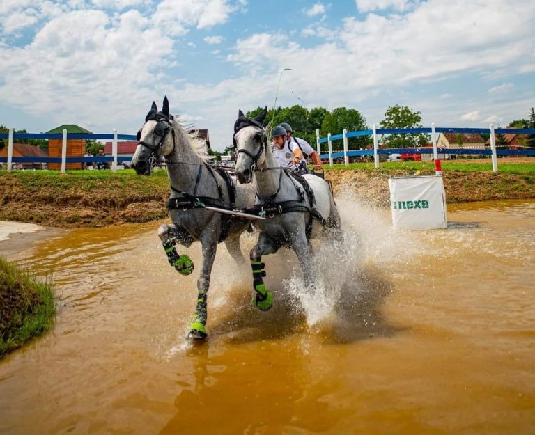 Danko Drobnjak iz KK “Maestoso” u Feričancima na PH zauzeo četvrto mjesto u konkurenciji dvoprega