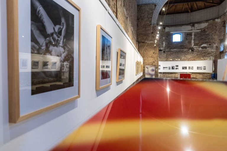 Večeras izložba u Galeriji fotografije Meraja “Novi život se rađa” autorica Suzana Bota