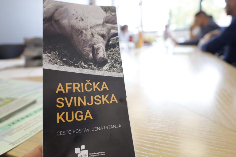 Borba s ASK-om: započeo lov na divlje svinje u Vukovarsko-srijemskoj županiji