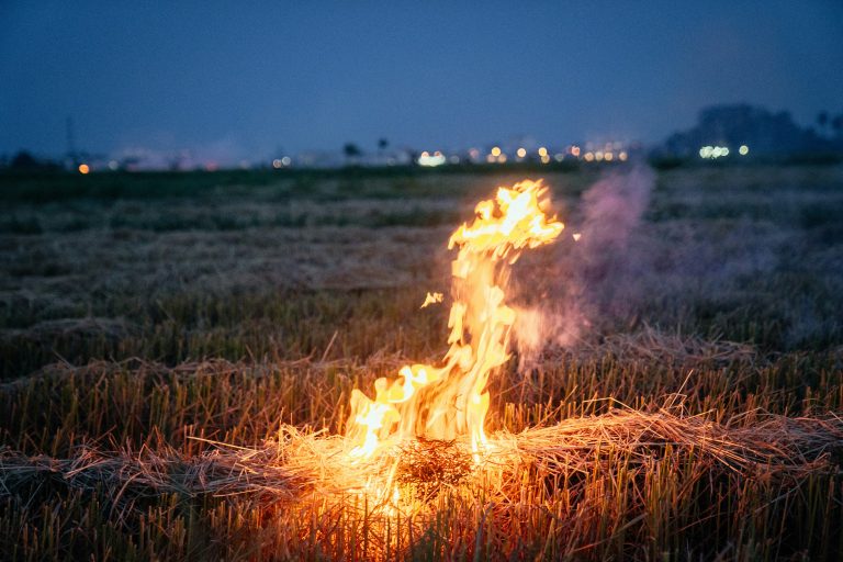 Prilikom žetve žitarica kombajnom izbili požari na poljoprivrednim površinama u Gradištu i Mohovu