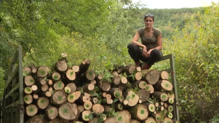 Sandra Bojanić siječe šumu, pila drva i traži momka koji kuha i pere