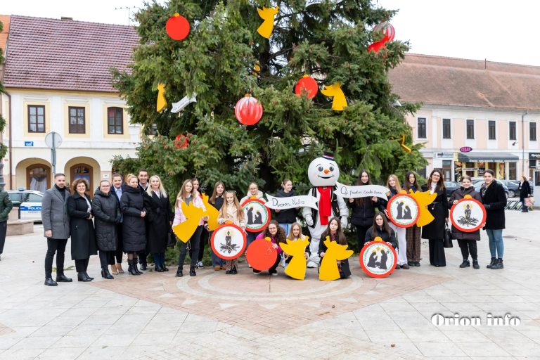 Advent u Vinkovcima: Ledena bajka stiže u grad