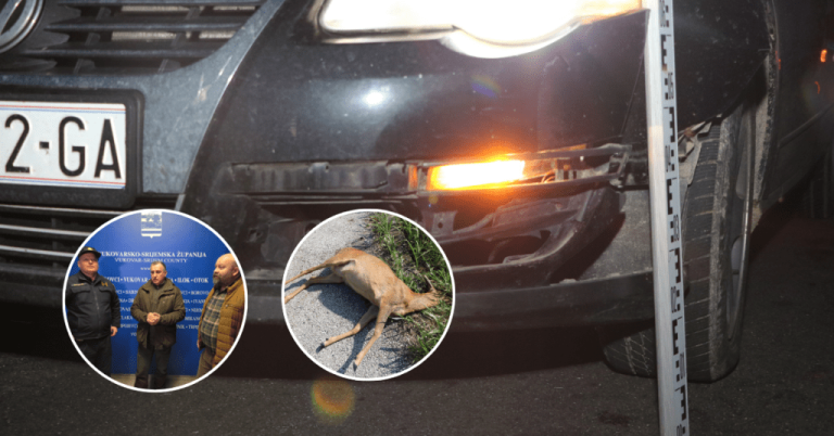 U 2025. godini čak 325 naleta na divljač u županiji