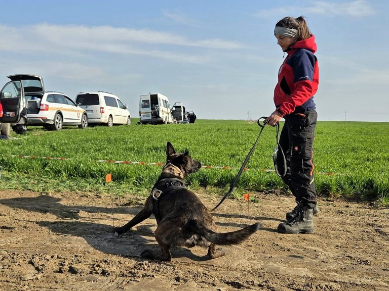 U potrazi za prikrivenim grobnicama sudjeluju i potražni psi