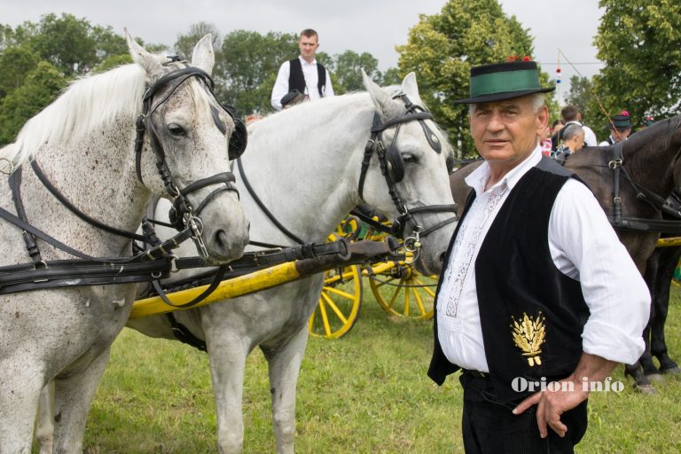 Povećanje broja članova u središtu Hrvatskog središnjeg saveza uzgajivača lipicanaca