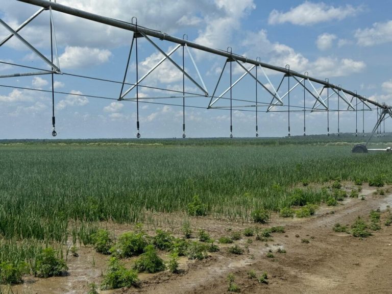 Poljoprivrednici, ispunite upitnik: VSŽ planira subvencije kamata za opremu za navodnjavanje