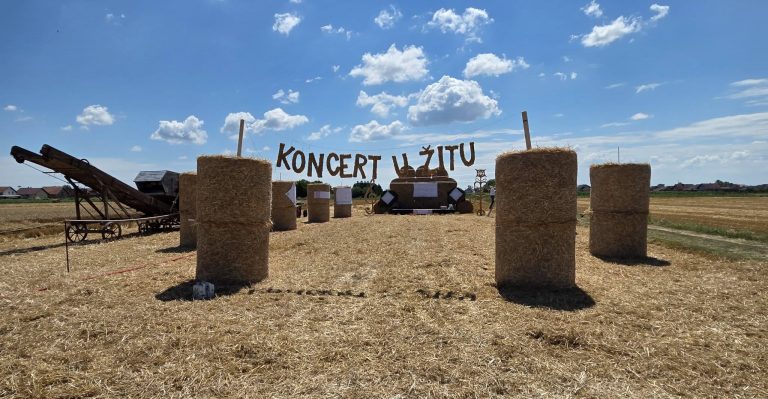 Kruh naš svagdašnji danas na Papuškinom stanu: Oživljava se slavonska žetva uz tamburu, tradiciju i umjetnost