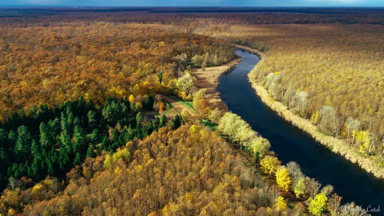 FOREST4EU u finalu Izbora za najbolji EU projekt u Hrvatskoj za 2026. godinu